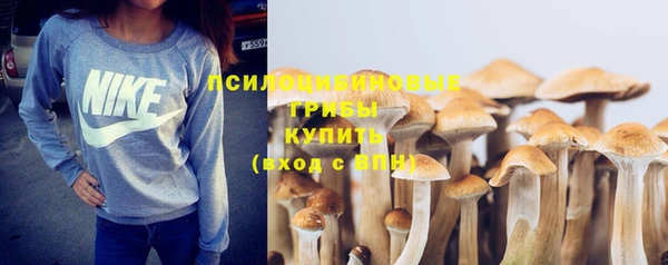 кокс Белокуриха