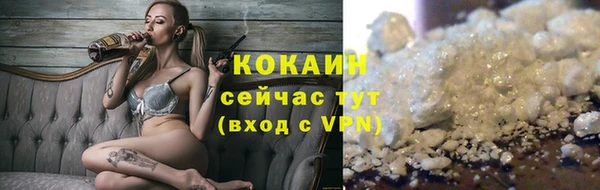 кокс Белокуриха