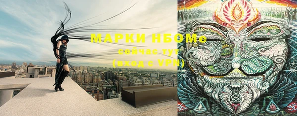 кокс Белокуриха