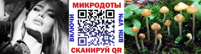 сайты даркнета телеграм  Кяхта  Галлюциногенные грибы GOLDEN TEACHER 